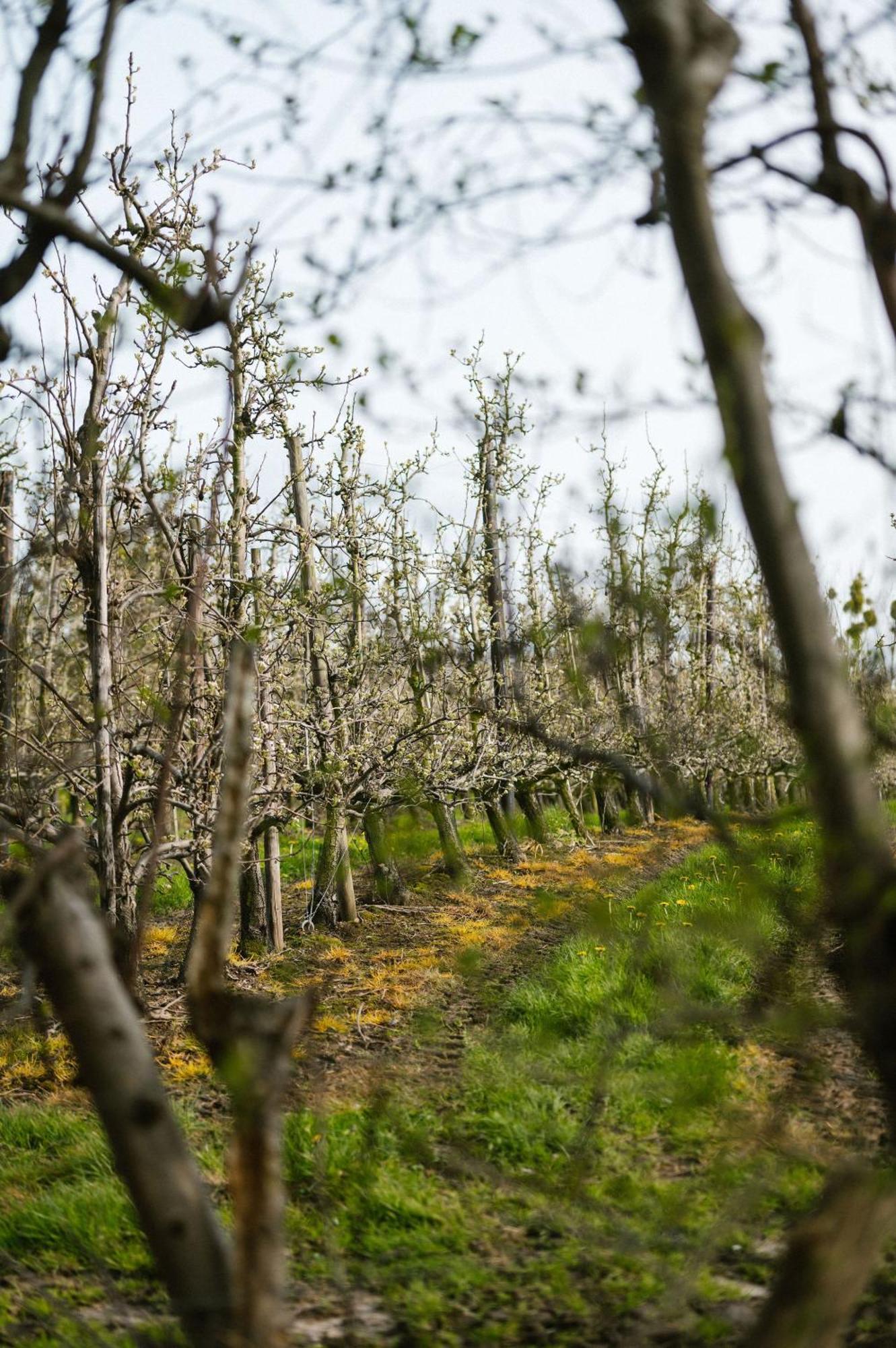 Hoeve De Reetjens - La Porcherie Bilzen Zewnętrze zdjęcie